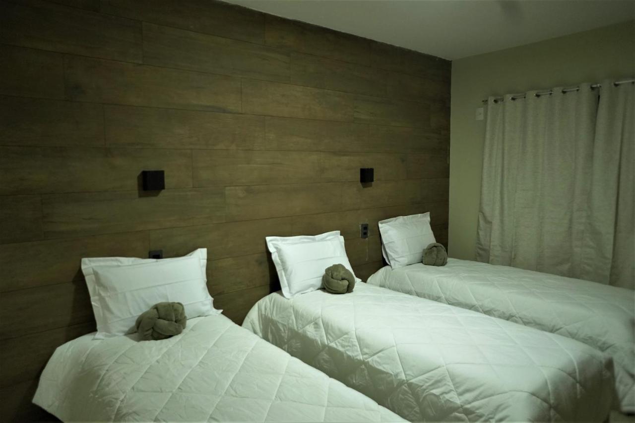 Terra D` Ouro